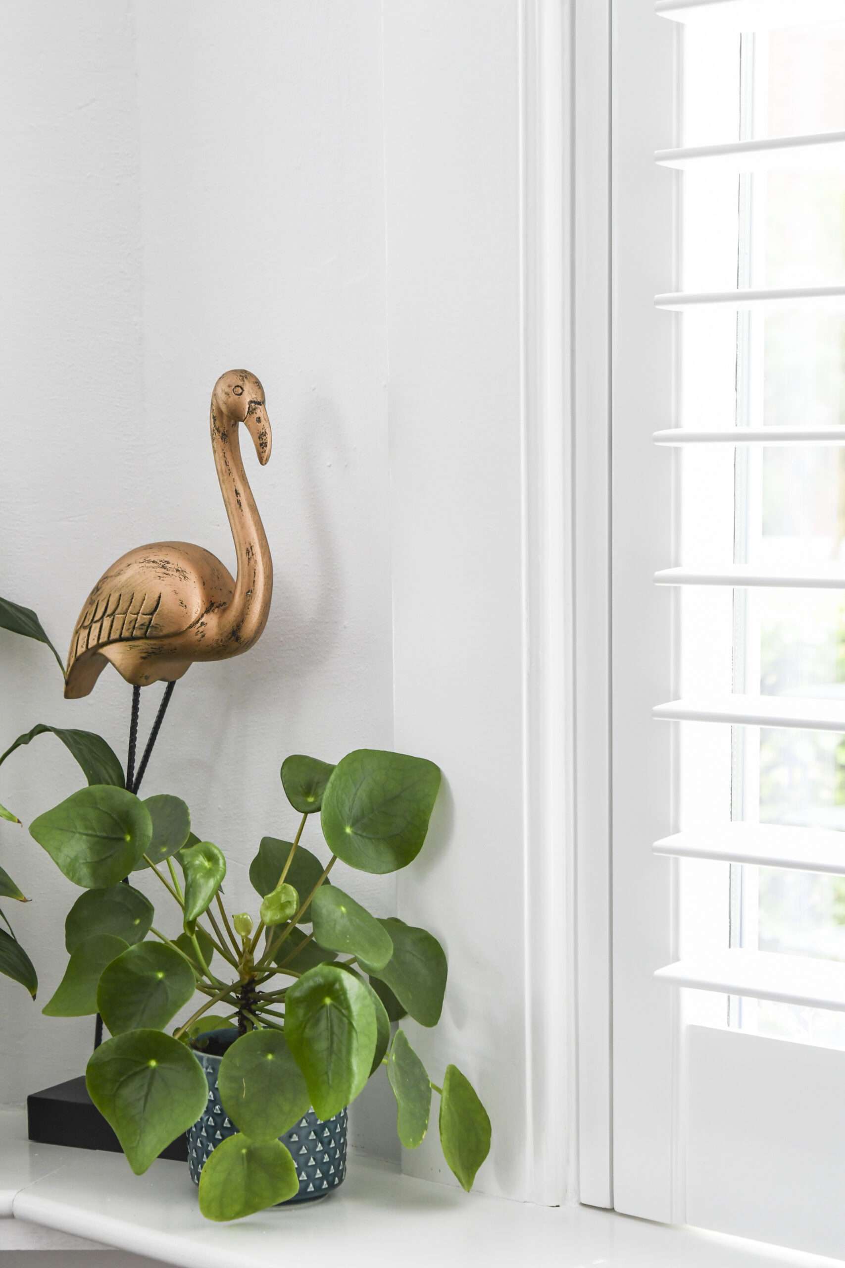 Echte Blend witte shutters naast een plant en een gouden flamingo